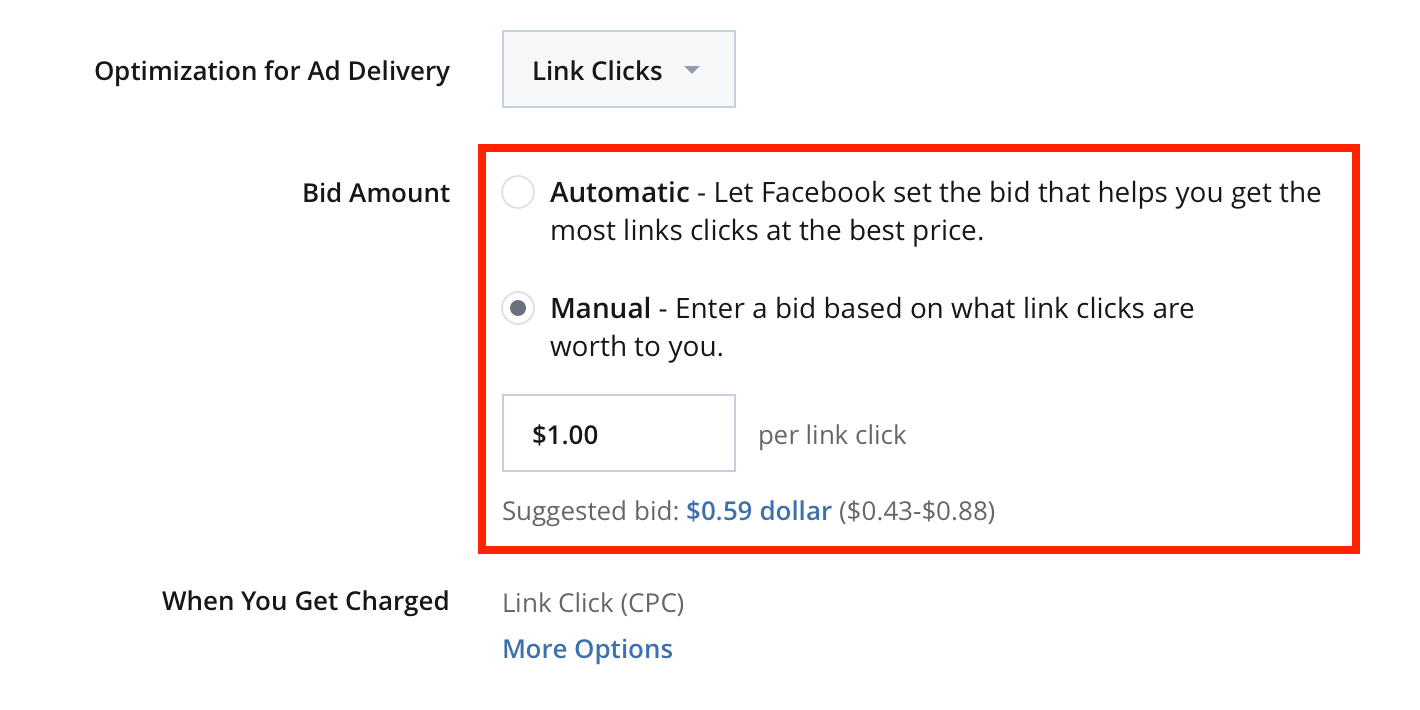 Unlimited Delivery of the Facebook Ad